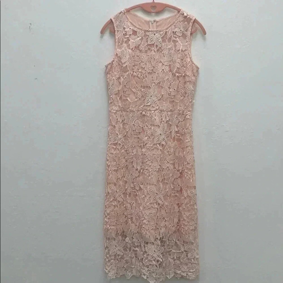 Julia Jordan Pink A Line Lace Dress size Small - Picture 2 of 7
